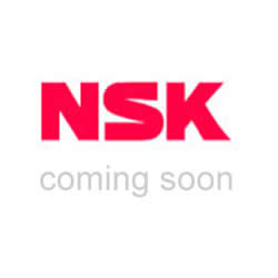 NSK-TNB_1